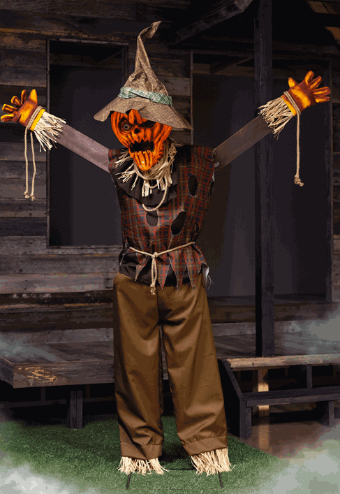 IMAGE 3 ANIMATED SCARECROW - Monetha