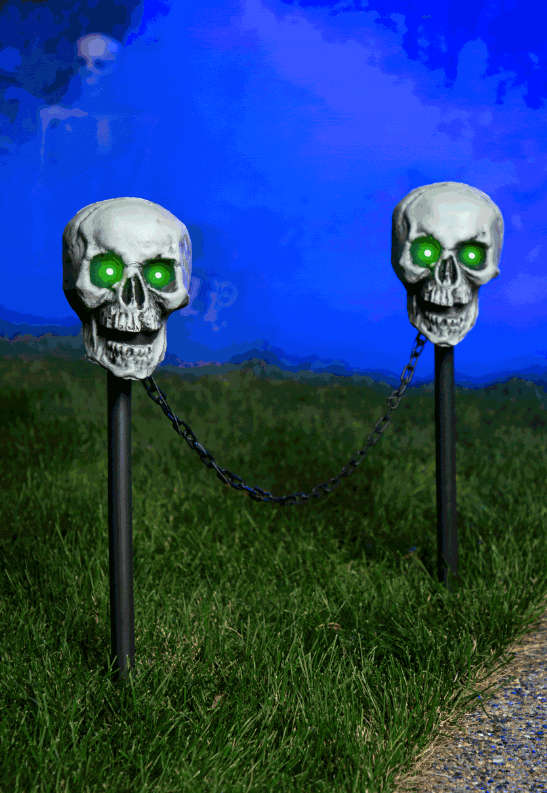 IMAGE 9 SKULL PATH LIGHTS - Monetha