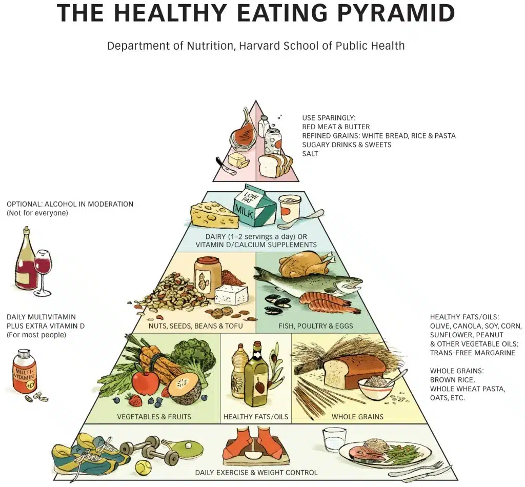 Food Pyramid 2023 - Monetha